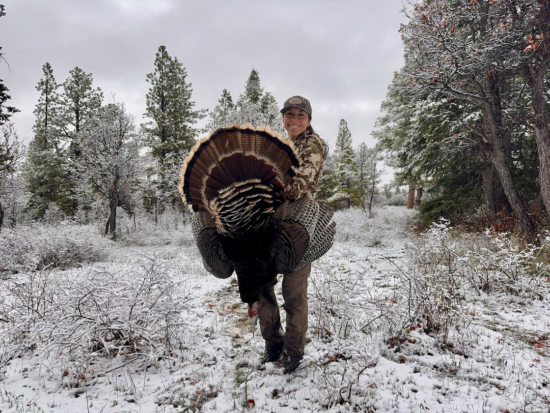 A hunter holds up a Merriam’s Wild Turkey, its tail fanned, among snow-dusted oaks and ponderosa pines.